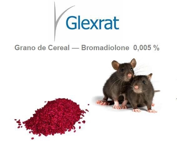 Glex Rat